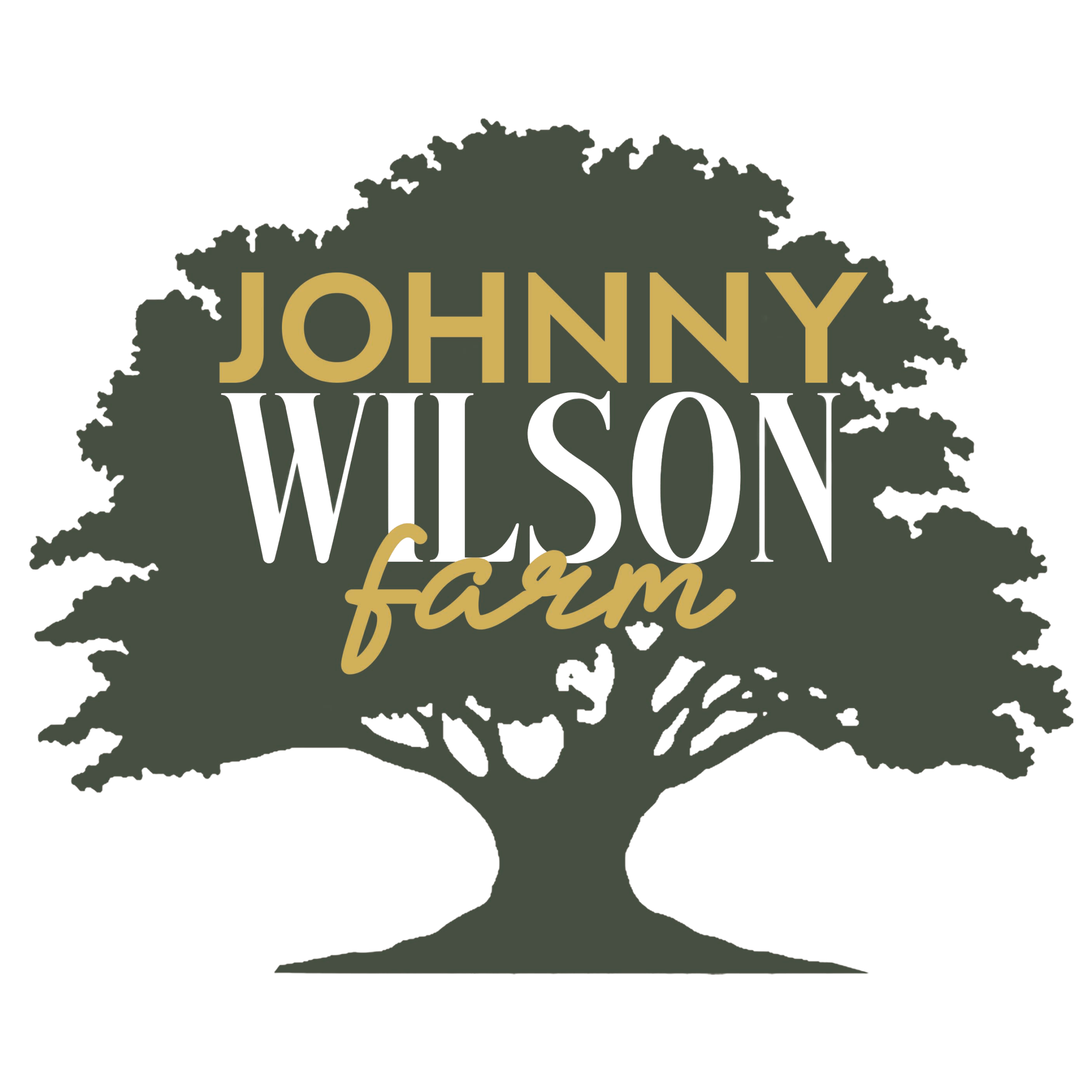 Small Logo